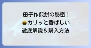 田子作煎餅の魅力と購入方法を徹底解説！千葉が誇る手焼きせんべいの秘密
