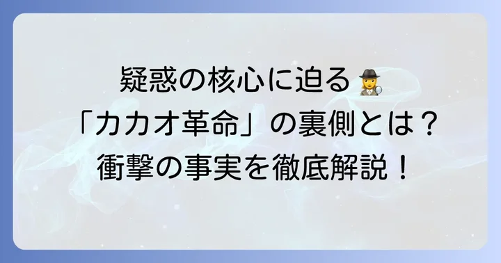 「MAAHA CHOCOLATE」を巡る具体的な疑惑の内容