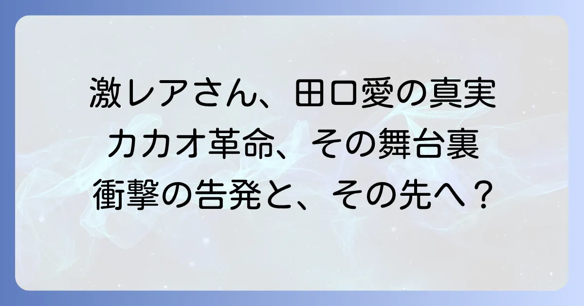 社会起業家・田口愛「激レアさん」を徹底解剖!MAAHAチョコレートとガーナでの挑戦、そして最新情報
