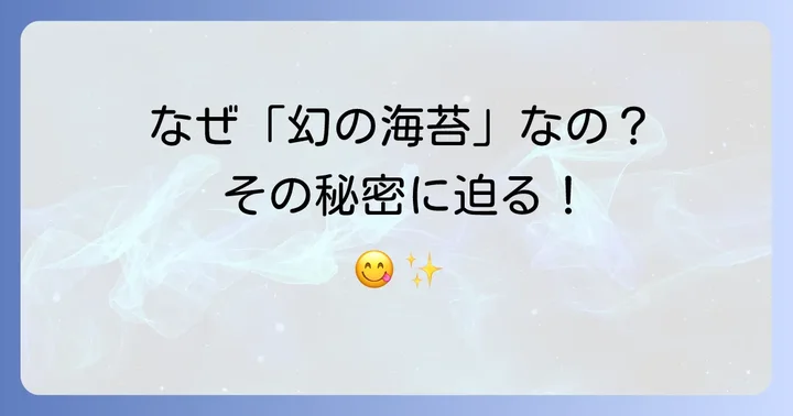 田庄海苔が多くの人に選ばれる理由とは？その魅力に迫る