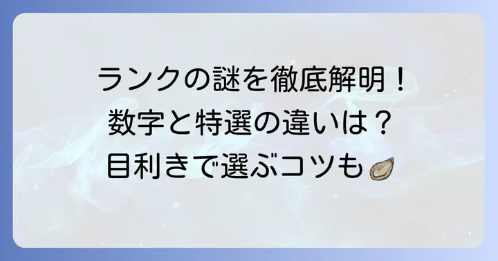 田庄海苔のランク表記を徹底解説!数字と特選の意味