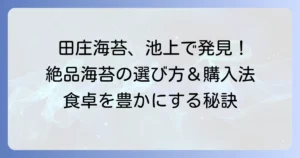 田庄海苔を池上で手に入れる！絶品海苔の魅力と購入方法を徹底解説