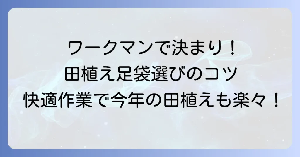 田植え足袋はワークマンで決まり？選び方からおすすめ商品まで徹底解説