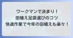 田植え足袋はワークマンで決まり？選び方からおすすめ商品まで徹底解説