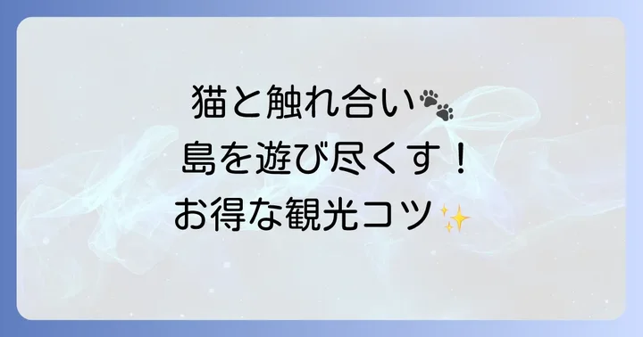 田代島を安く楽しむための観光のコツ