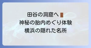 田谷の洞窟レビュー！神秘的な胎内めぐりの魅力と訪問前に知るべきこと全て