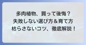 多肉植物で買ってはいけない種類を徹底解説！失敗しない選び方と育て方のコツ
