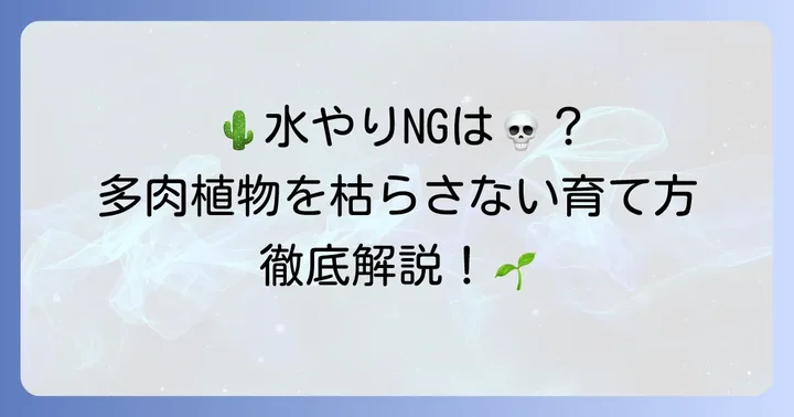多肉植物を枯らさないための育て方のコツ