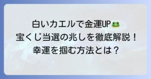 白いカエルで宝くじの金運アップ！幸運の象徴がもたらす当選の兆しを徹底解説