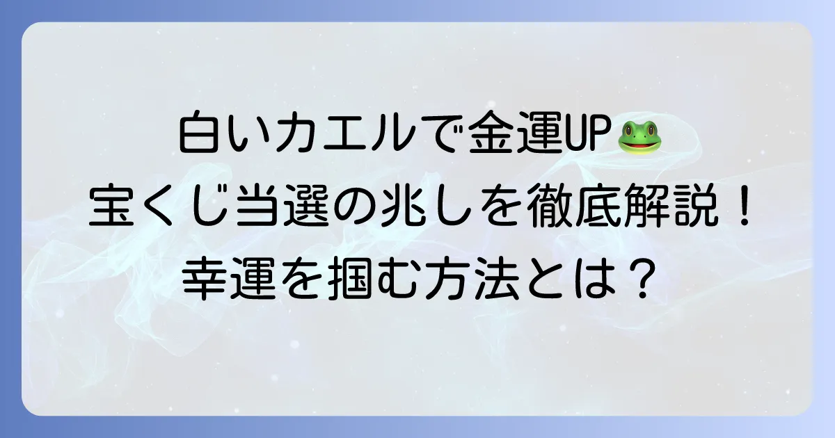 白いカエルで宝くじの金運アップ！幸運の象徴がもたらす当選の兆しを徹底解説
