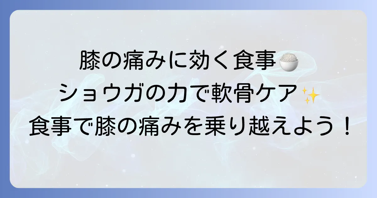 膝に良い食べ物と生姜の力！痛みを和らげ軟骨を守る食事のコツ
