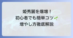 姫秀麗の増やし方を徹底解説！初心者でも簡単に成功させるコツ