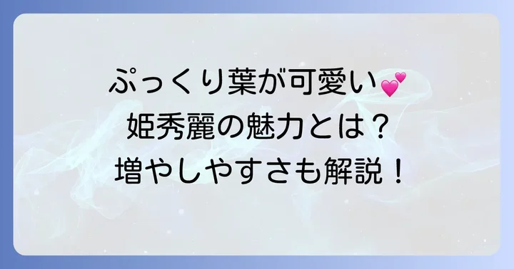姫秀麗とは？その魅力と増やしやすさ