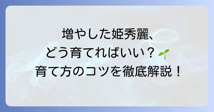 増やした姫秀麗の育て方と管理