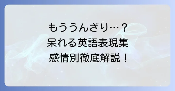 「呆れる」の英語表現：うんざりや失望を表すフレーズ