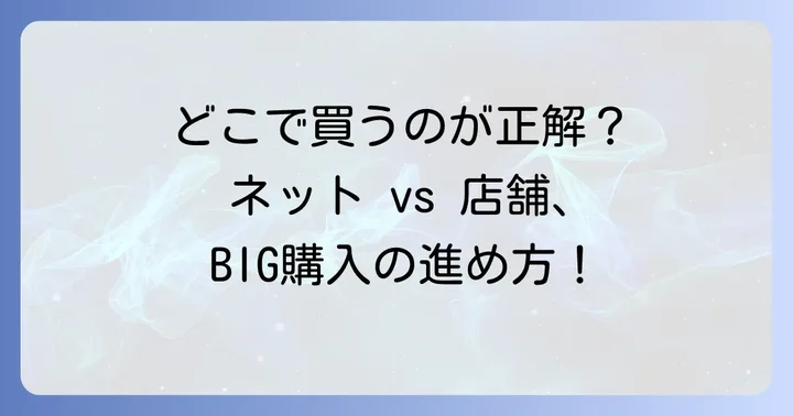 BIGの購入方法：ネットと店舗、それぞれの進め方