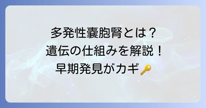 多発性嚢胞腎とは？遺伝性の腎臓病の基礎知識