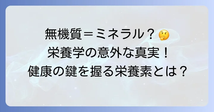 無機質食べ物とは？栄養素としての「無機質」を理解する