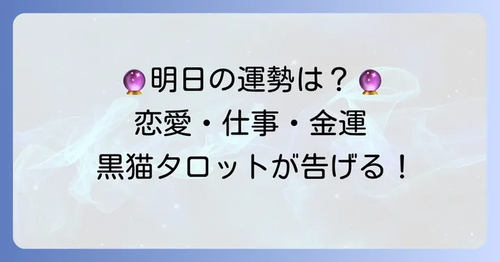 黒猫タロットが示す明日の運勢：恋愛・仕事・金運のメッセージ