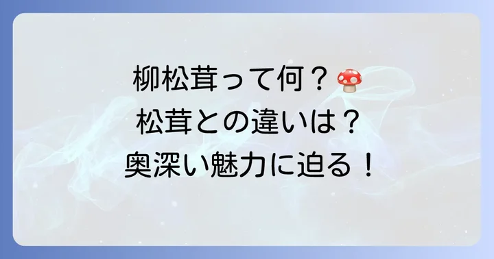 柳松茸炊き込みご飯とは？その魅力と特徴