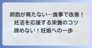卵胞が育たない悩みを食事で改善！妊活をサポートする食べ物と栄養のコツ