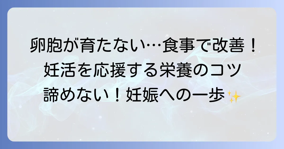 卵胞が育たない悩みを食事で改善!妊活をサポートする食べ物と栄養のコツ