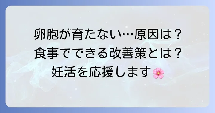卵胞が育たない原因と食事でできること