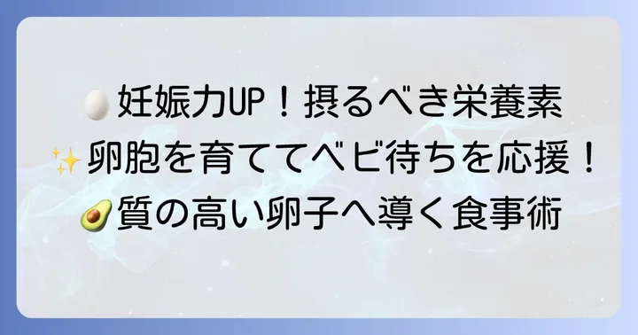 卵胞の成長を助ける!積極的に摂りたい栄養素と食べ物