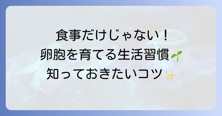 食事以外でできる卵胞改善のコツ