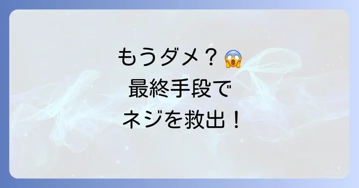 最終手段！ドリルやタガネを使った対処法