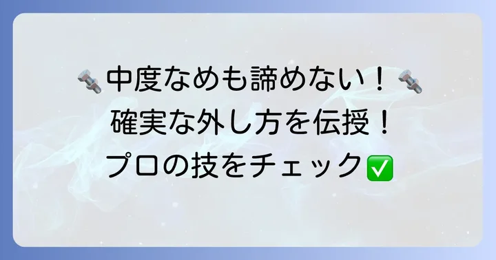 六角穴付きボルトがなめた時の外し方【中度なめ編】