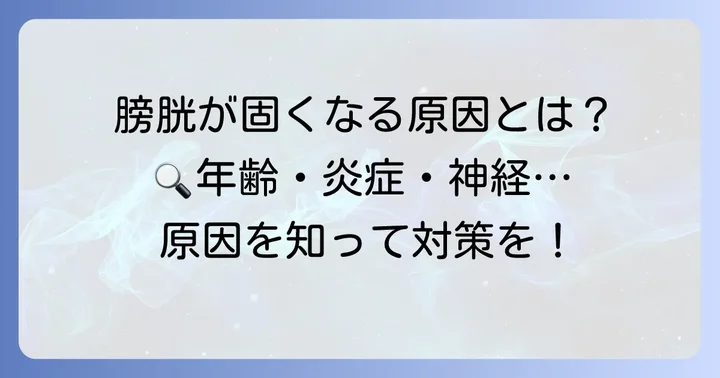 膀胱が固くなる主な原因