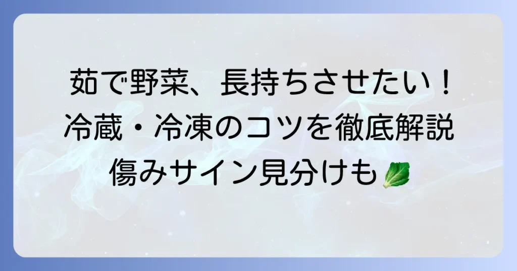 茹でた野菜の日持ちを最大限に延ばす！冷蔵・冷凍保存のコツと見分け方
