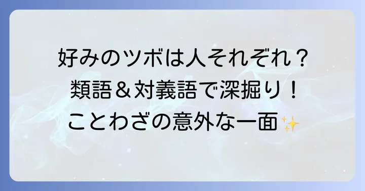 類語や対義語で理解を深める