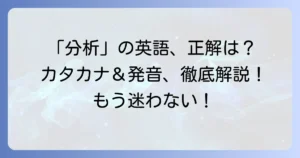「分析」の英語「analysis」のカタカナ表記と正しい発音を徹底解説！