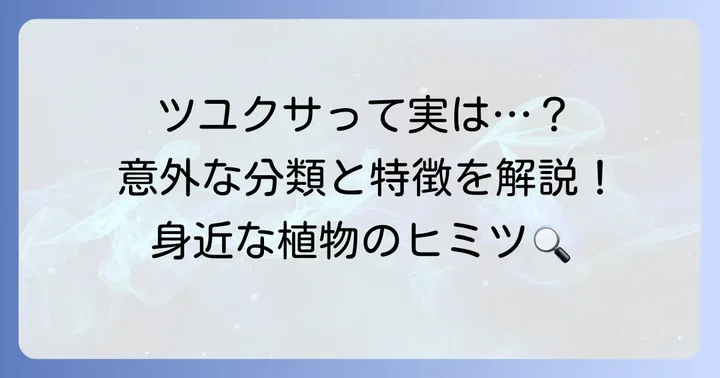 身近な植物ツユクサとは？その基本情報