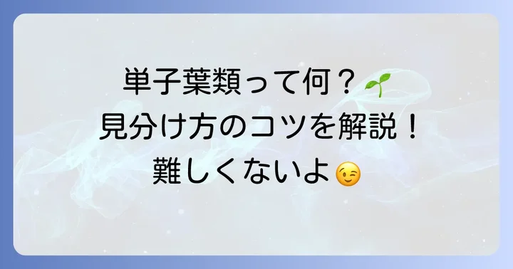 単子葉類とは？その定義と見分け方のコツ