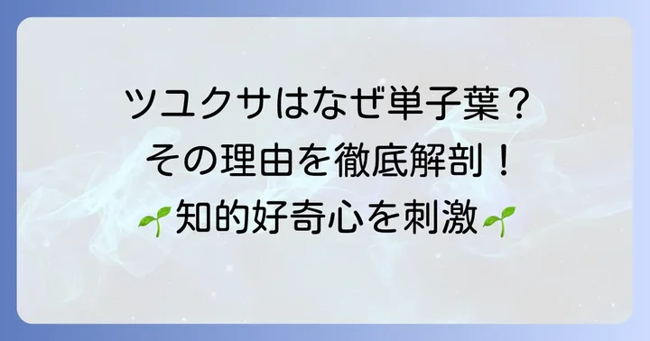 ツユクサが単子葉類である具体的な理由