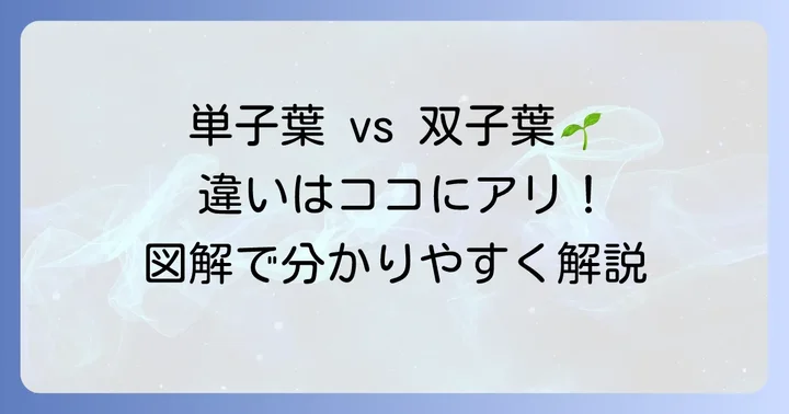 単子葉類と双子葉類の違いを徹底比較