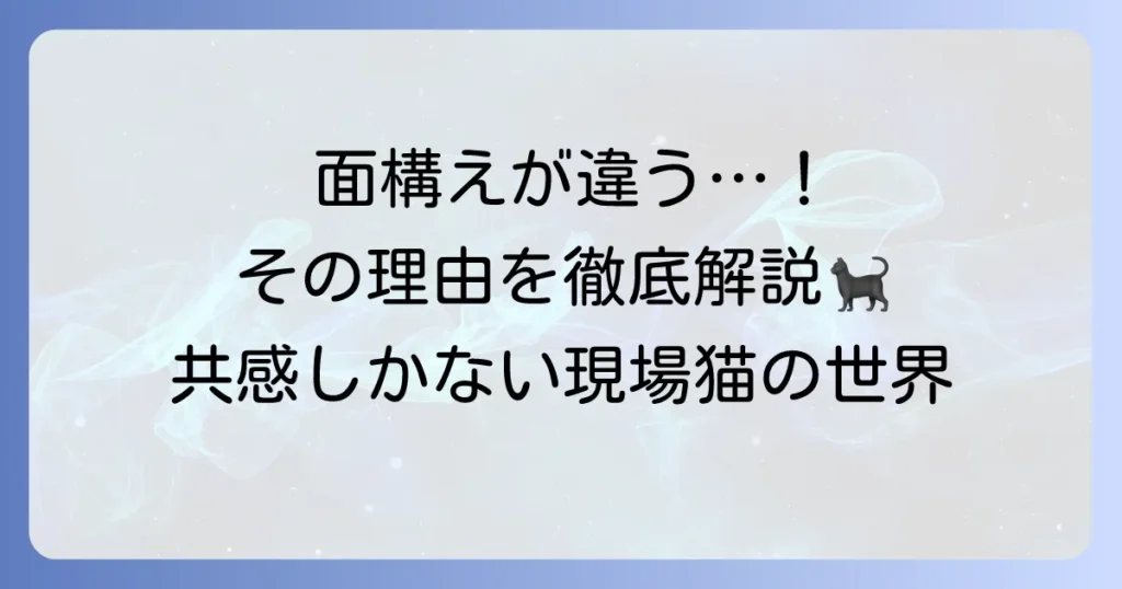 面構えが違う現場猫とは？その独特な魅力と元ネタを徹底解説！
