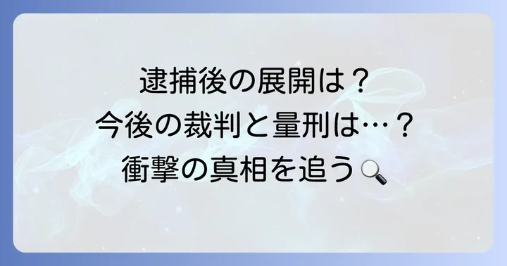 逮捕後の法的な進展と今後の見通し