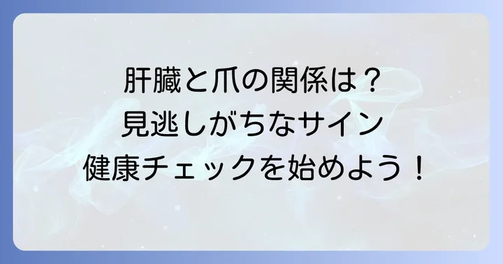 肝臓とすじ爪の縦線の関係は？病気のサインを見逃さない