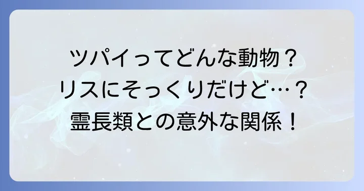 ツパイとはどんな動物？基本情報と特徴