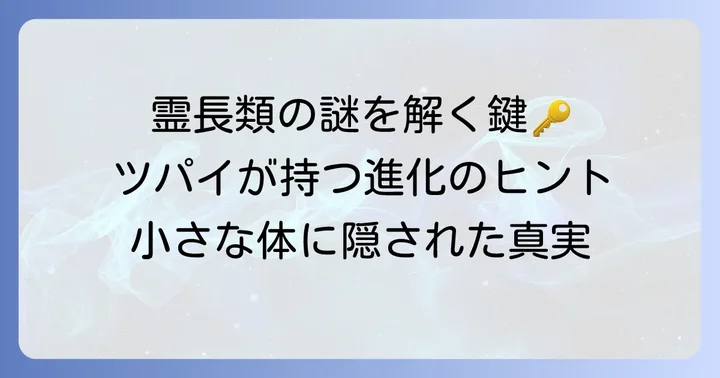 霊長類の進化を探る鍵としてのツパイ