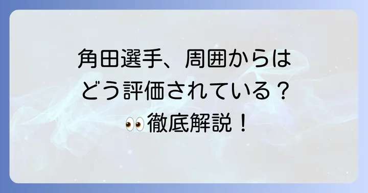 チームやF1関係者からの角田裕毅選手への評価