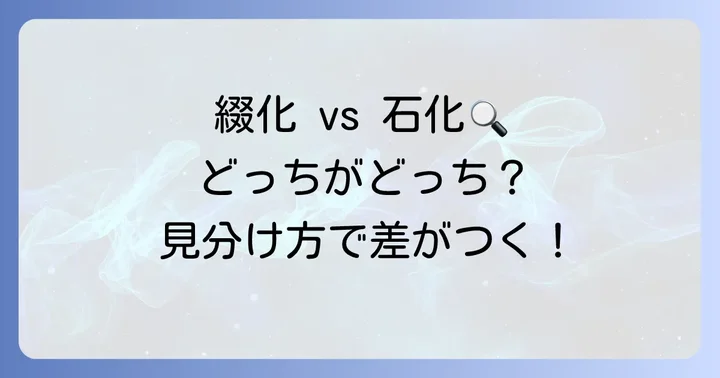 「綴化」と「石化(モンスト)」の違いを明確に