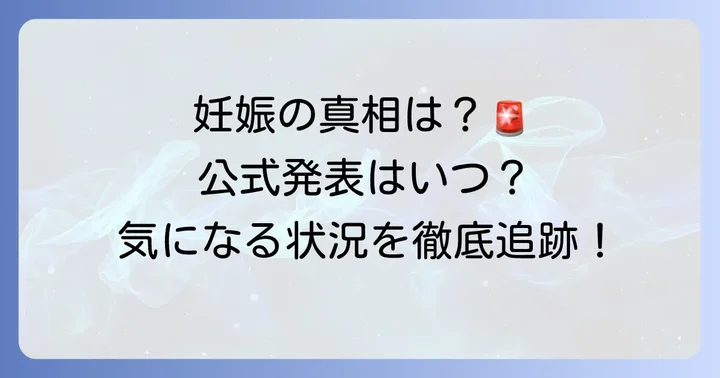 堤礼実妊娠中の真相は？現在の状況と公式発表について