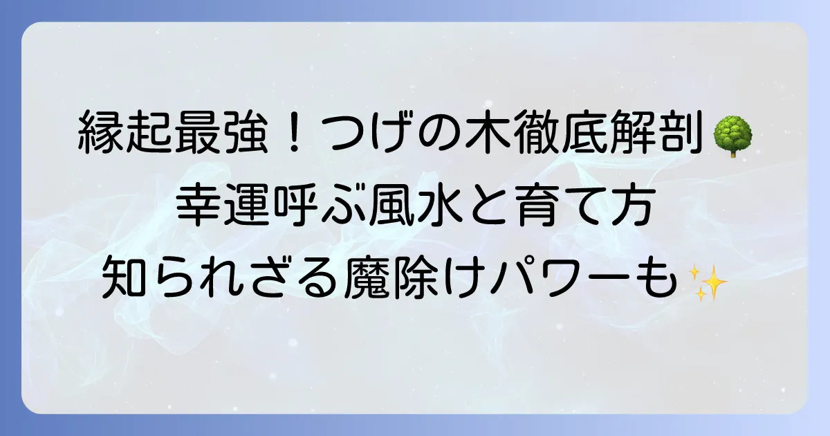 つげの木の縁起の意味と風水効果を徹底解説！育て方から活用法まで