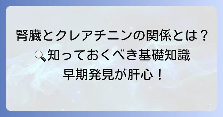 クレアチニンとは？腎機能との深い関係