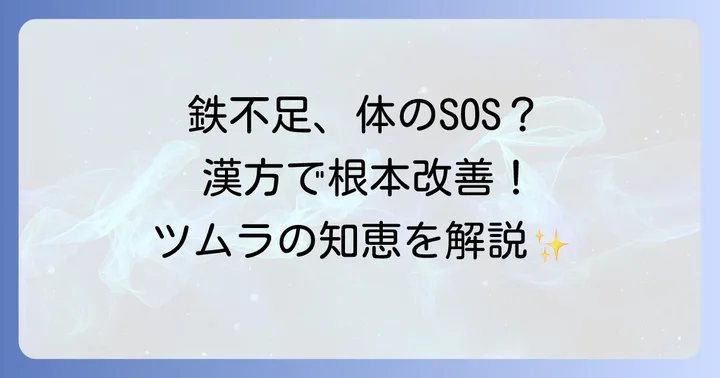 漢方薬が鉄分不足の悩みに寄り添う理由